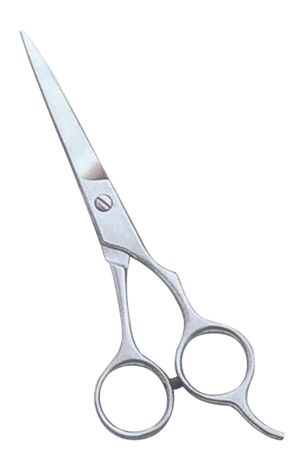 Barber & Dressing Scissors 